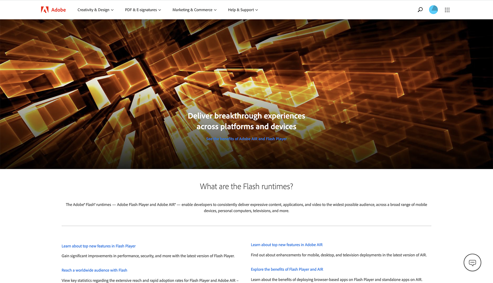 Adobe Flash landing page